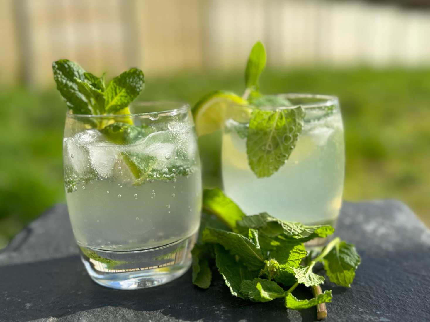 Two Mojoto cocktails served with sprigs of mint.