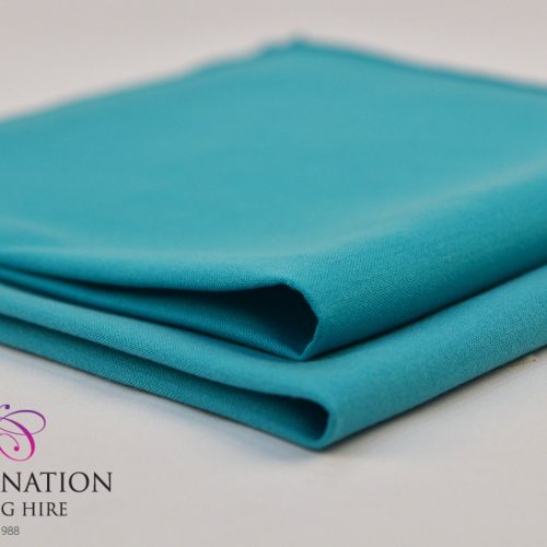 TURQUOISE SIGNATURE NAPKIN