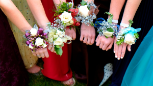 Hands of young student girls in evening dresses, displaying prom night corsages on their wrists.